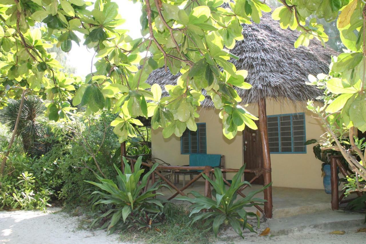 Garden * Jambiani (Zanzibar)
