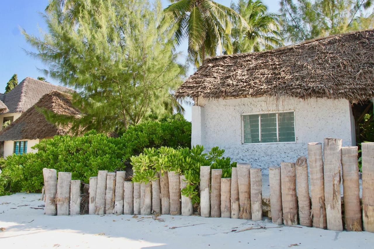 Garden * Jambiani (Zanzibar)