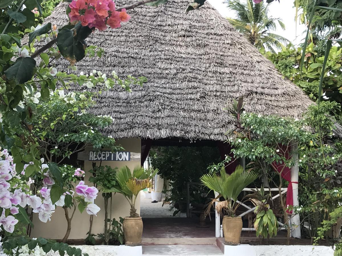 Garden Jambiani (Zanzibar)